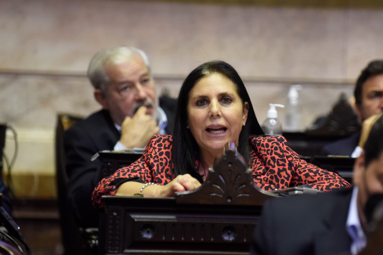 Lena presentó un proyecto para bajar el IVA a los servicios Lena presentó un proyecto para bajar el IVA a los servicios