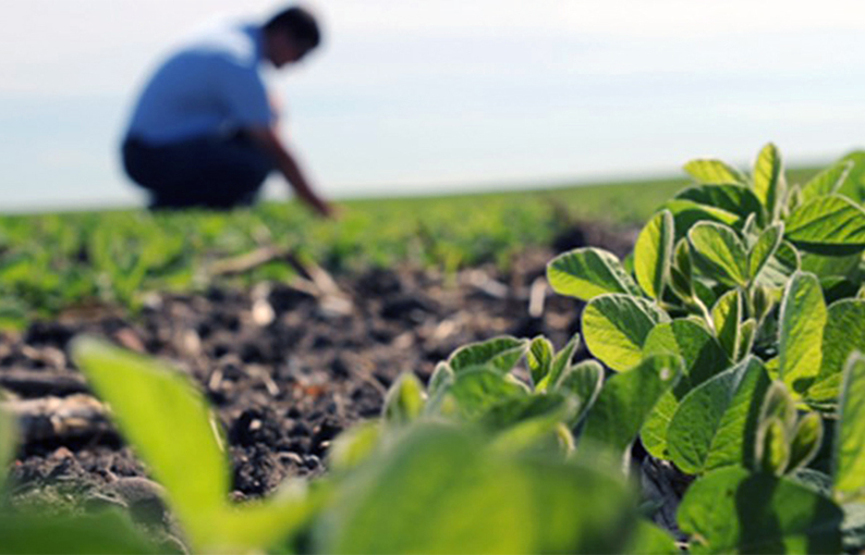 Hoy se celebra el “Día del Agricultor” Hoy se celebra el “Día del Agricultor”