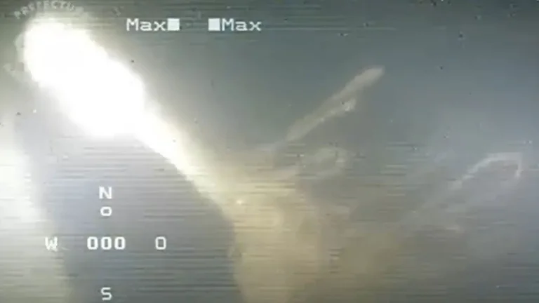 ¿Un submarino nazi en el Mar Argentino? Sorpresivo hallazgo a la altura de Quequén ¿Un submarino nazi en el Mar Argentino? Sorpresivo hallazgo a la altura de Quequén