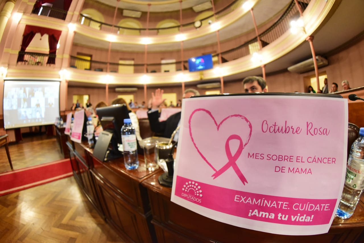 Diputados aprobó el proyecto de ley del Circuito de Almacenes Rurales