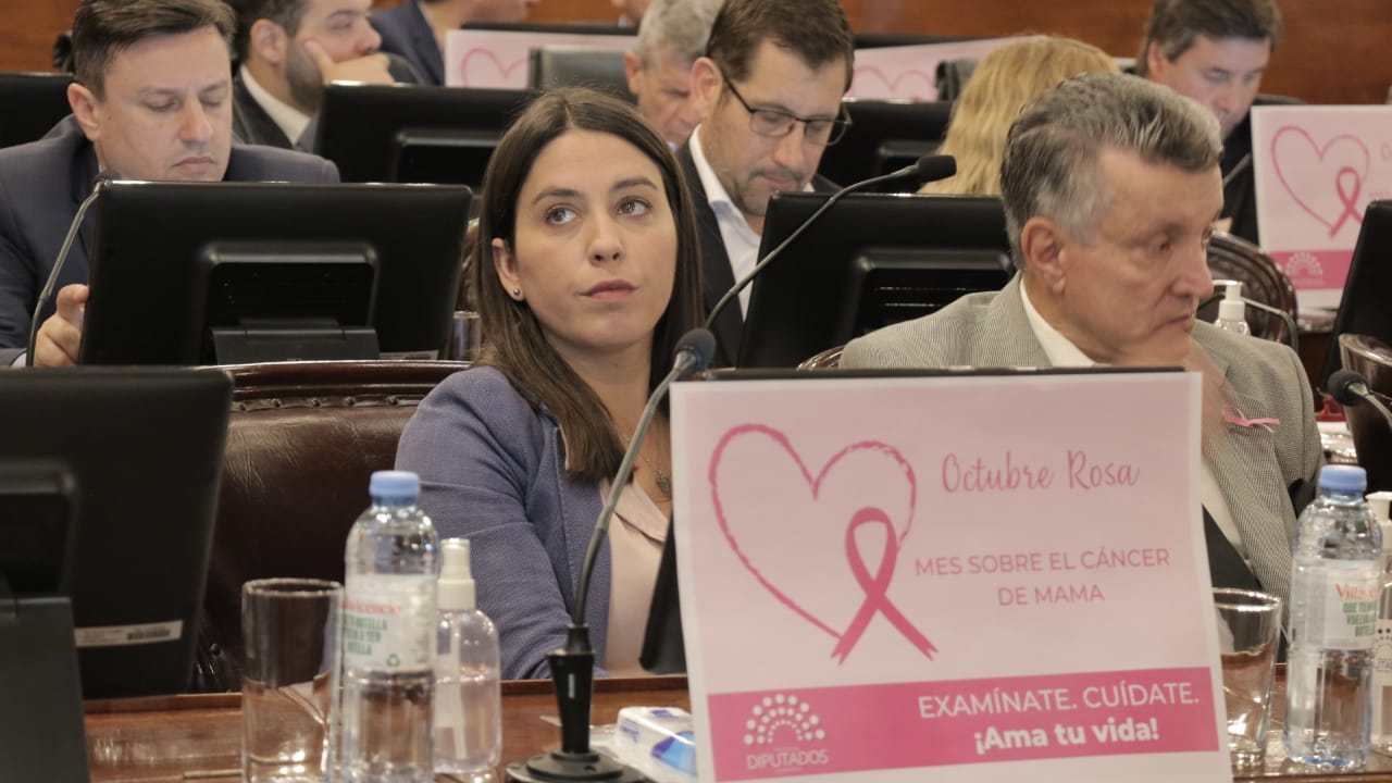 Diputados: Buscan cambiar el reglamento para evitar que se destine más tiempo a homenajes Diputados: Buscan cambiar el reglamento para evitar que se destine más tiempo a homenajes
