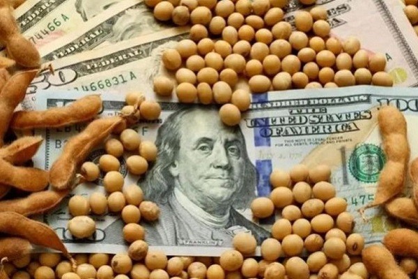Dólar Soja: en Entre Ríos se comercializaron 472.931 toneladas de soja en septiembre