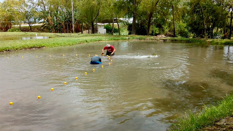 La producción acuícola entrerriana se proyecta como una actividad sustentable