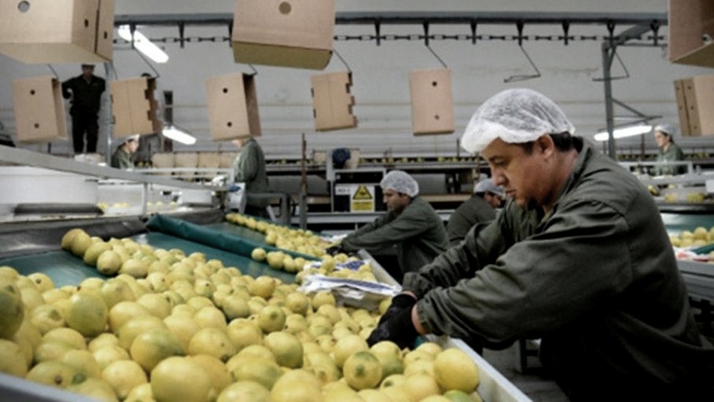 Los consumidores pagan cuatro veces más de que lo que cobran los productores agropecuarios Los consumidores pagan cuatro veces más de que lo que cobran los productores agropecuarios
