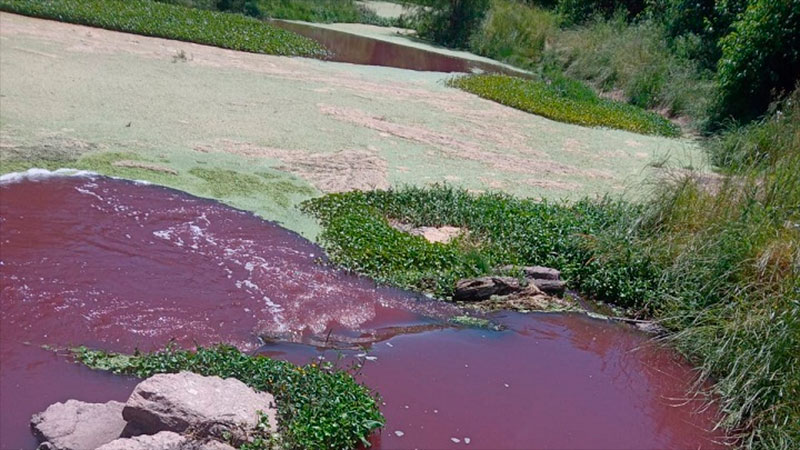 Arroyo El Espinillo apareció teñido de rojo Arroyo El Espinillo apareció teñido de rojo