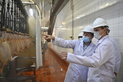 Bordet destacó que la avicultura es en la economía regional lo que más empleo genera