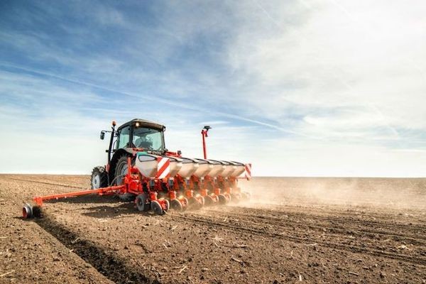 Caería el área sembrada con soja en Entre Ríos