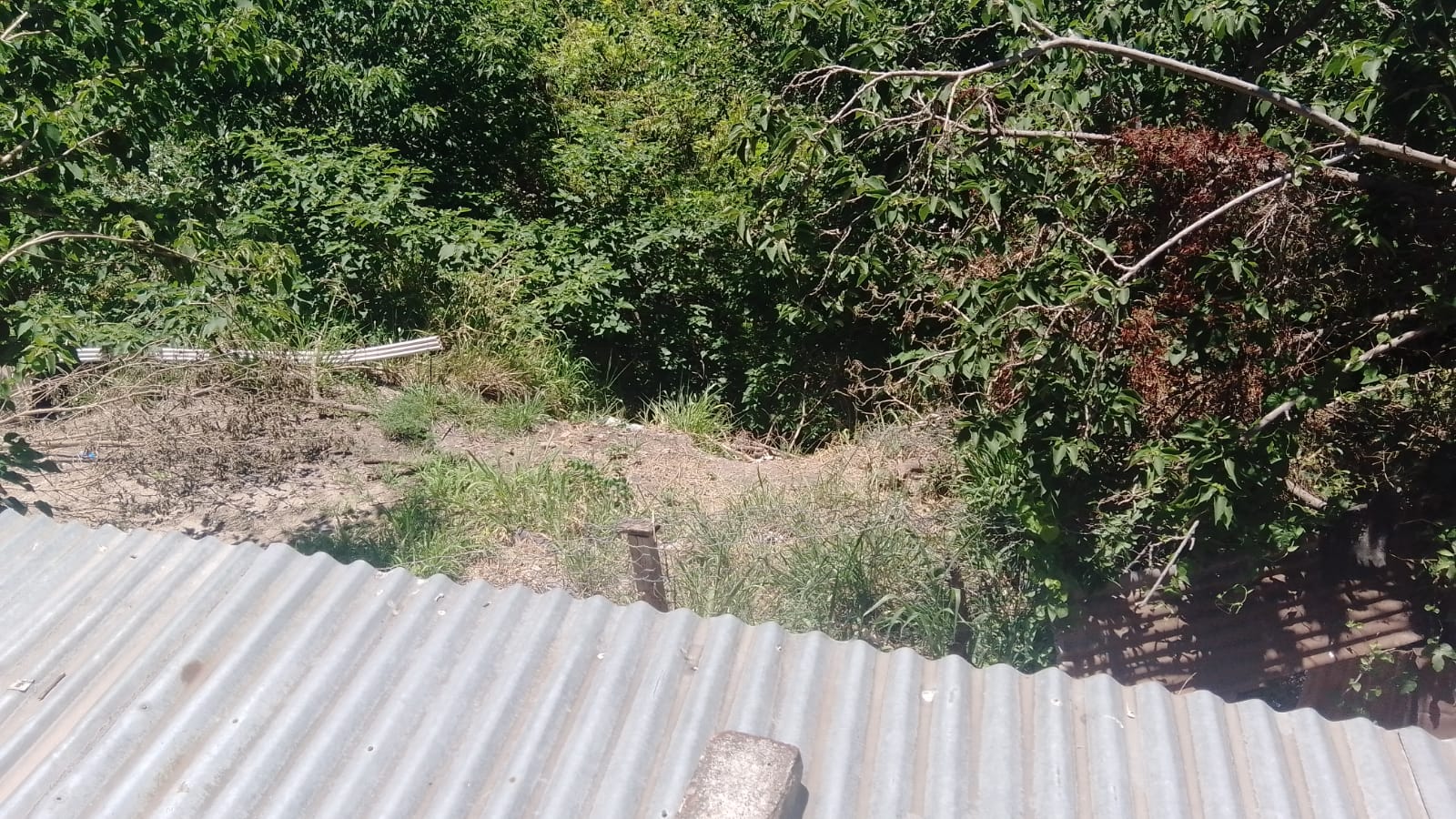Los desmoronamientos del barrio Palangana de Paraná preocupan a los vecinos