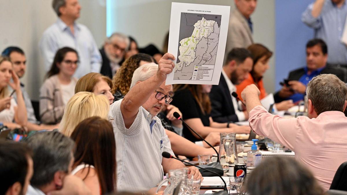 Ley de Humedales: se consiguió dictamen para que el proyecto sea tratado en el recinto