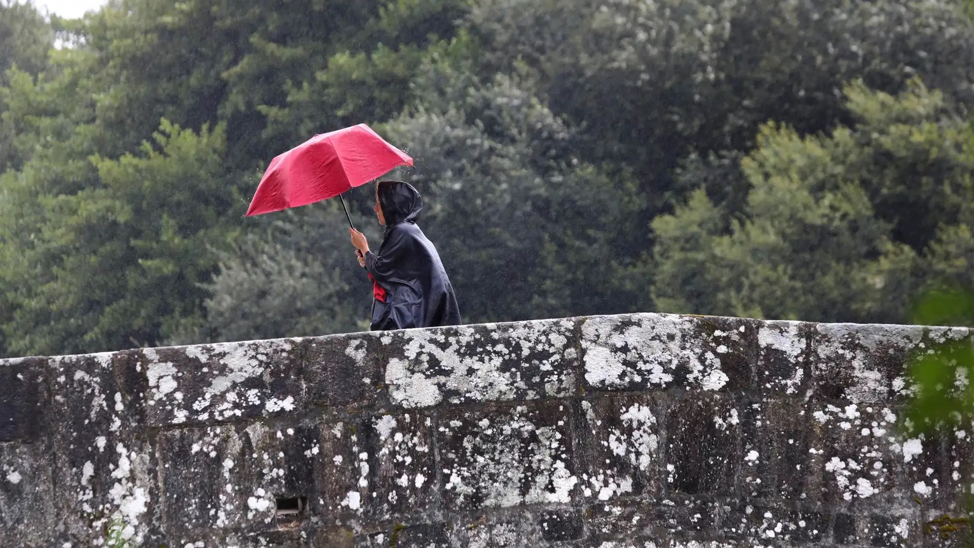 A mitad de semana baja la temperatura y llegaría la lluvia