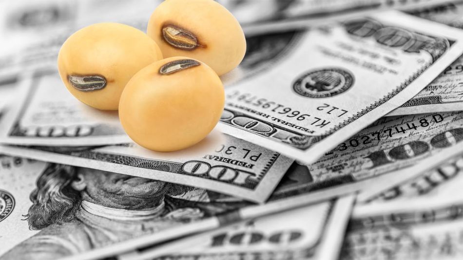 Se vienen el dólar soja II e incentivos para hidrocarburos
