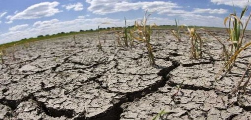 Sequía: “La situación es drástica y no da lugar para muchos análisis”, manifestó un miembro de la Federación Agraria