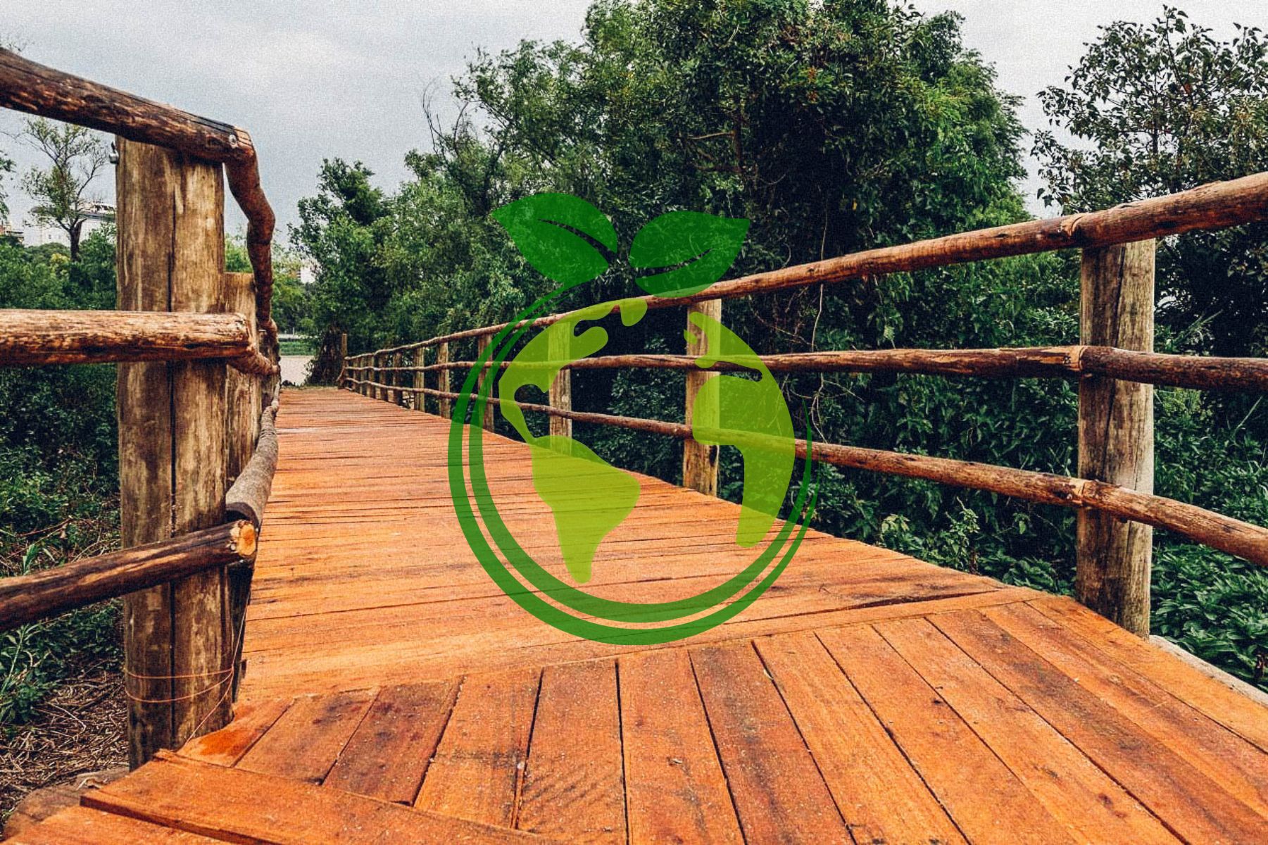 Buscan ordenar el sistema de áreas naturales de la ciudad Buscan ordenar el sistema de áreas naturales de la ciudad
