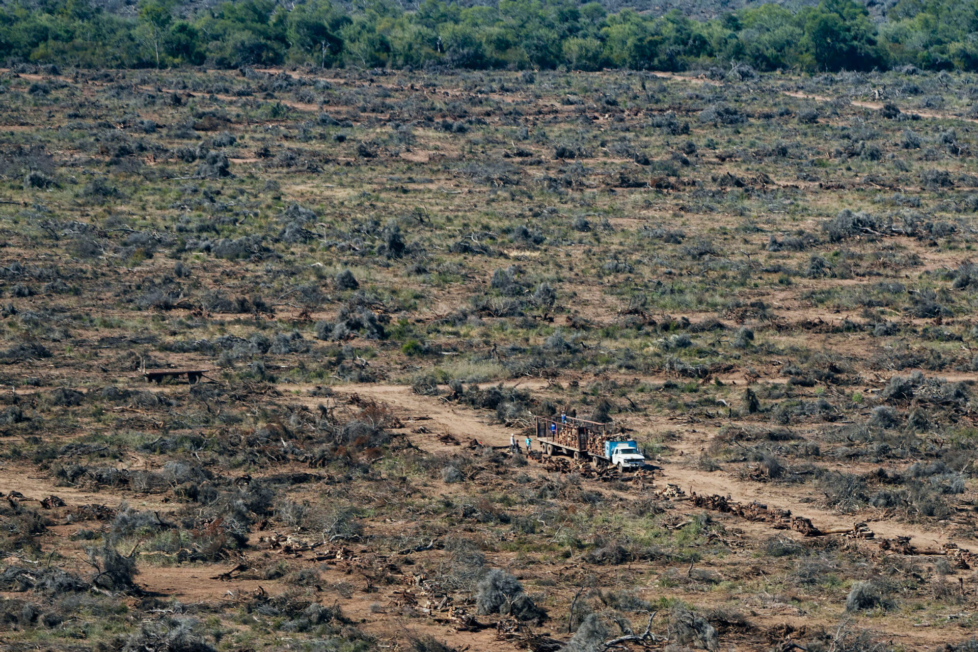 Capitanich crítico con Greenpeace y a favor de la deforestación en Chaco Capitanich crítico con Greenpeace y a favor de la deforestación en Chaco