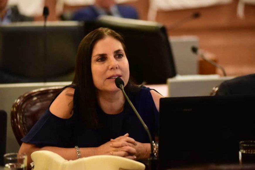 Lena insistió en su pedido de intervenir el Copnaf