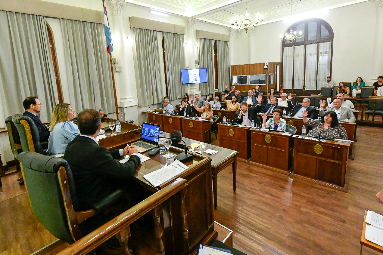 El Senado sancionó las leyes de Presupuesto y Reforma Electoral