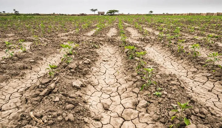 La sequía deja en una situación crítica al agro: hay regiones con solo 10% de agua disponible La sequía deja en una situación crítica al agro: hay regiones con solo 10% de agua disponible