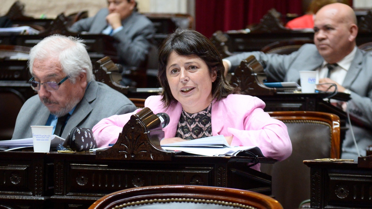 Gaillard aseguró que con los votos del Frente de Todos se podrá avanzar con el juicio a la Corte
