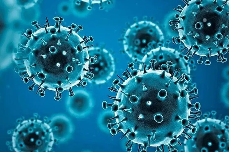 Covid-19: un informe de EEUU señala cuál habría sido el origen de la pandemia Covid-19: un informe de EEUU señala cuál habría sido el origen de la pandemia