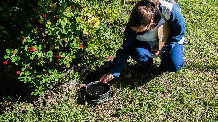 La Municipalidad realiza un bloqueo sanitario en zona centro por un caso positivo de dengue