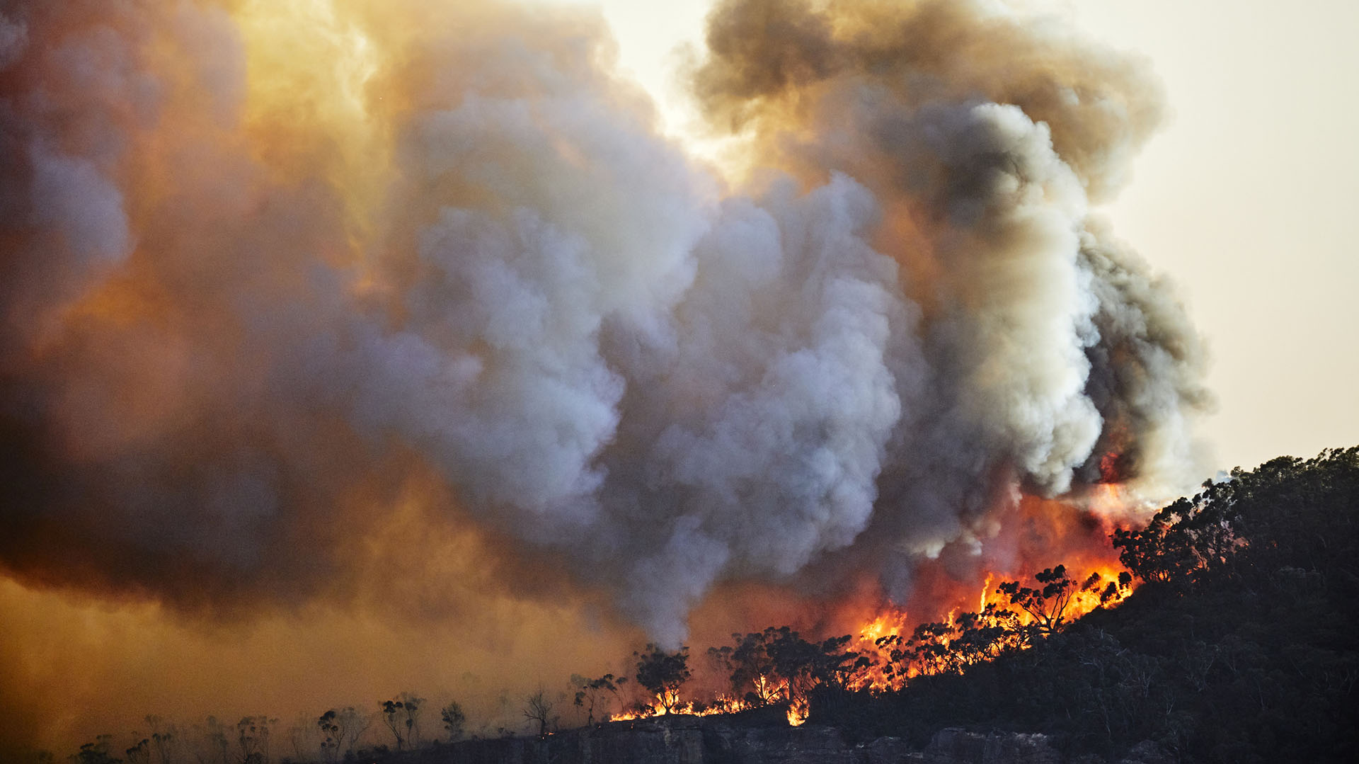 "La realidad económica a largo plazo es que solo una fracción de las reservas probadas de combustibles fósiles puede ser quemada si queremos mantener el aumento de la temperatura en 1,5 °C”