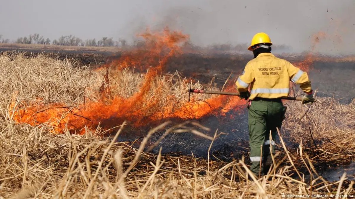 Brigadistas continúan trabajando para sofocar incendios al sur de las islas del Delta Brigadistas continúan trabajando para sofocar incendios al sur de las islas del Delta