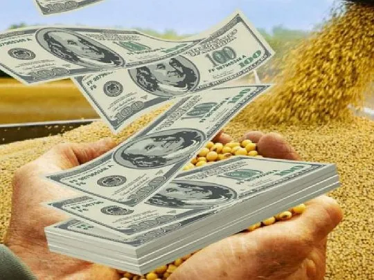 Dólar agro se extendería hasta fin de mayo para captar soja de la nueva campaña Dólar agro se extendería hasta fin de mayo para captar soja de la nueva campaña
