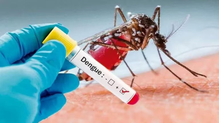 Al menos 25 muertes se cobró el Dengue en todo el país Al menos 25 muertes se cobró el Dengue en todo el país