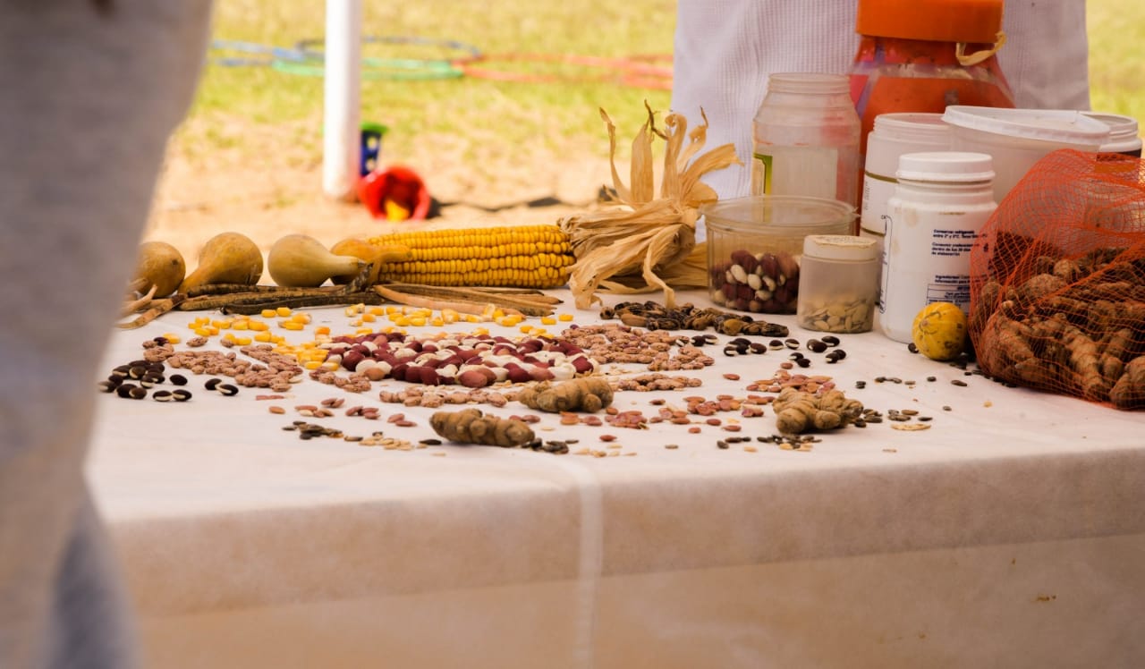 Invitan a la 3° Feria de Intercambio de Semillas Nativas y Criollas Invitan a la 3° Feria de Intercambio de Semillas Nativas y Criollas