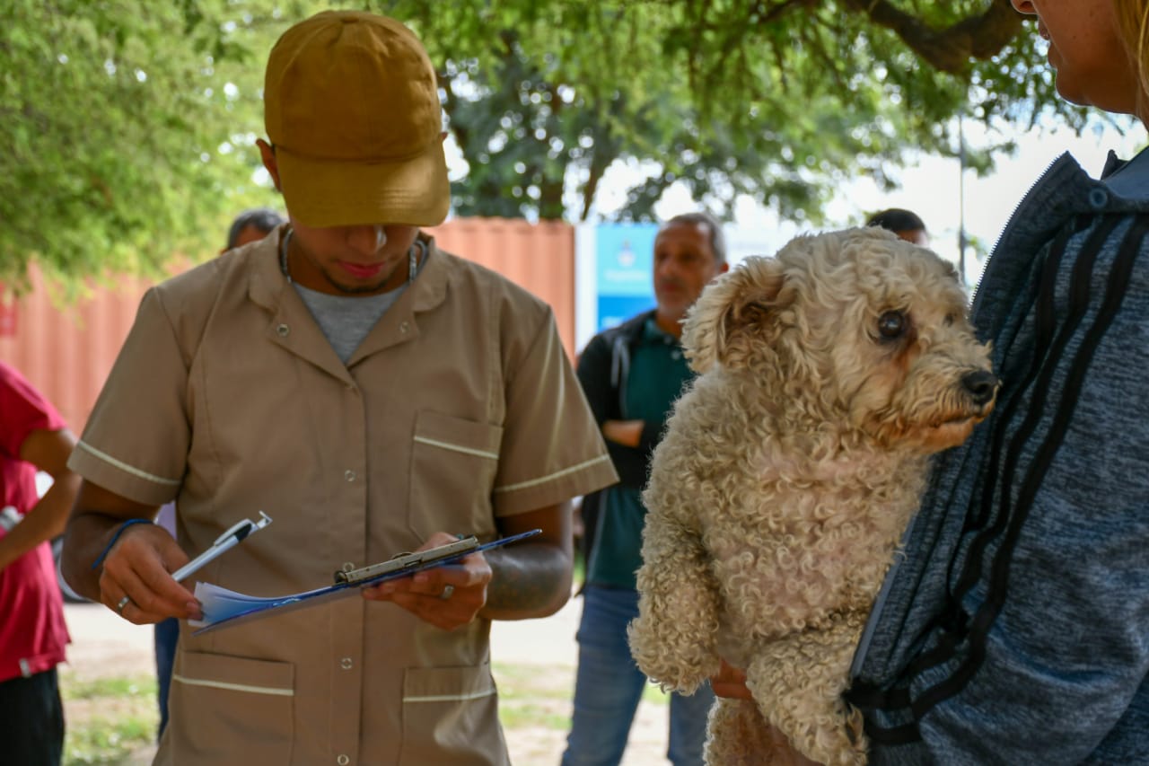 La Municipalidad realizó un operativo de salud animal en Bajada Grande La Municipalidad realizó un operativo de salud animal en Bajada Grande