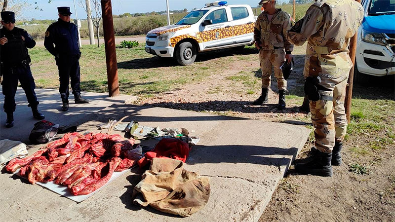 Cazaron carpinchos y jabalí en reserva natural entrerriana y fueron descubiertos