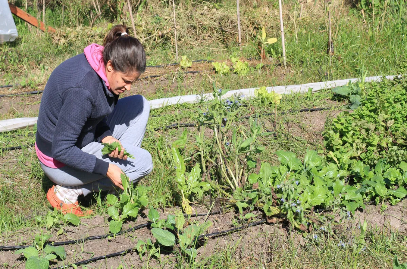 La Porota: la granja agroecológica que fue declarada área natural protegida