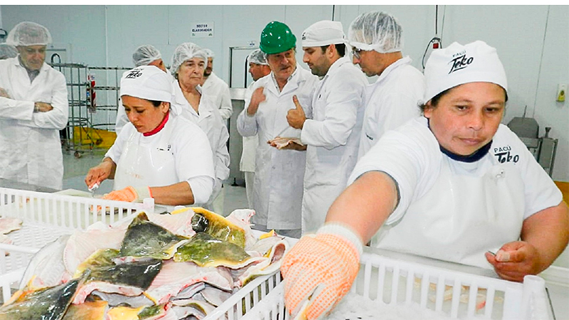 Brindan recomendaciones para el consumo seguro de pescados