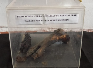 Recuperaron piezas arqueológicas en un museo la Provincia de Entre Ríos Recuperaron piezas arqueológicas en un museo la Provincia de Entre Ríos