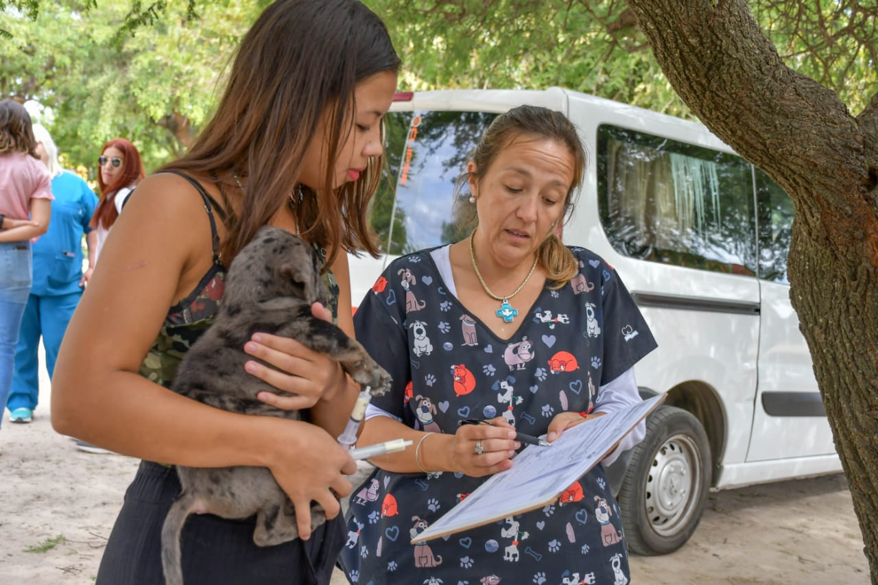 La Municipalidad difundió el cronograma de operativos barriales de castración
