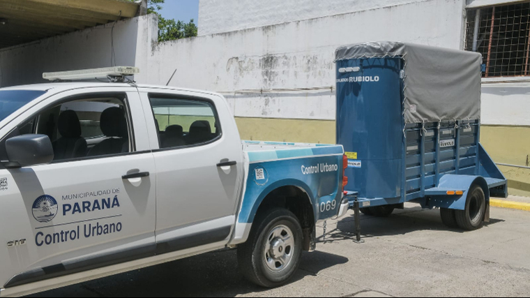 Trabajan en el rescate y traslado de animales abandonados