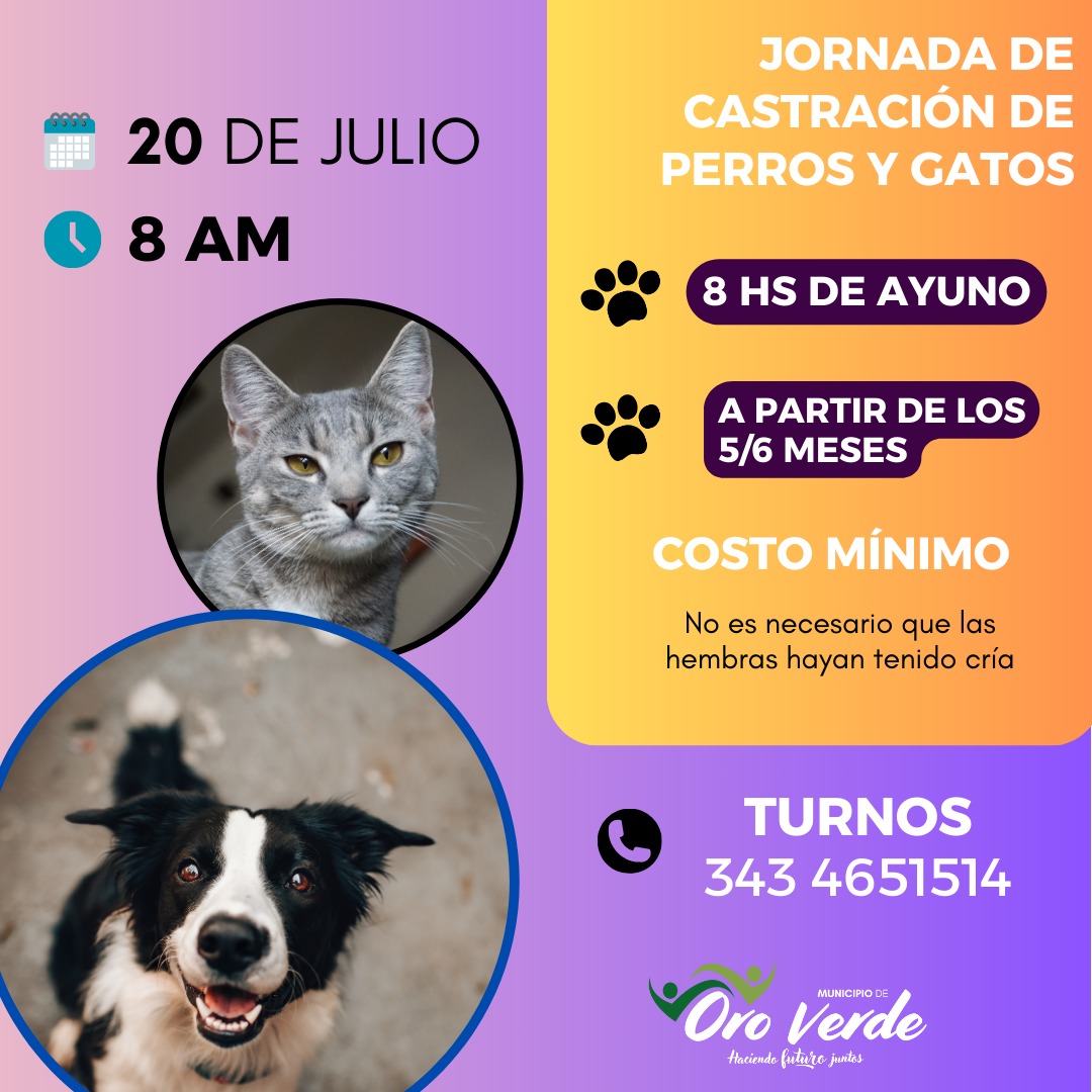 Oro Verde: Nuevo operativo de esterilización de animales domésticos