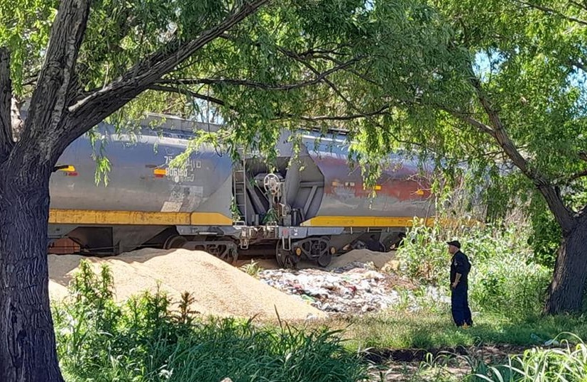 Saquearon un tren en Santa Fe y se robaron cerca de mil toneladas de soja