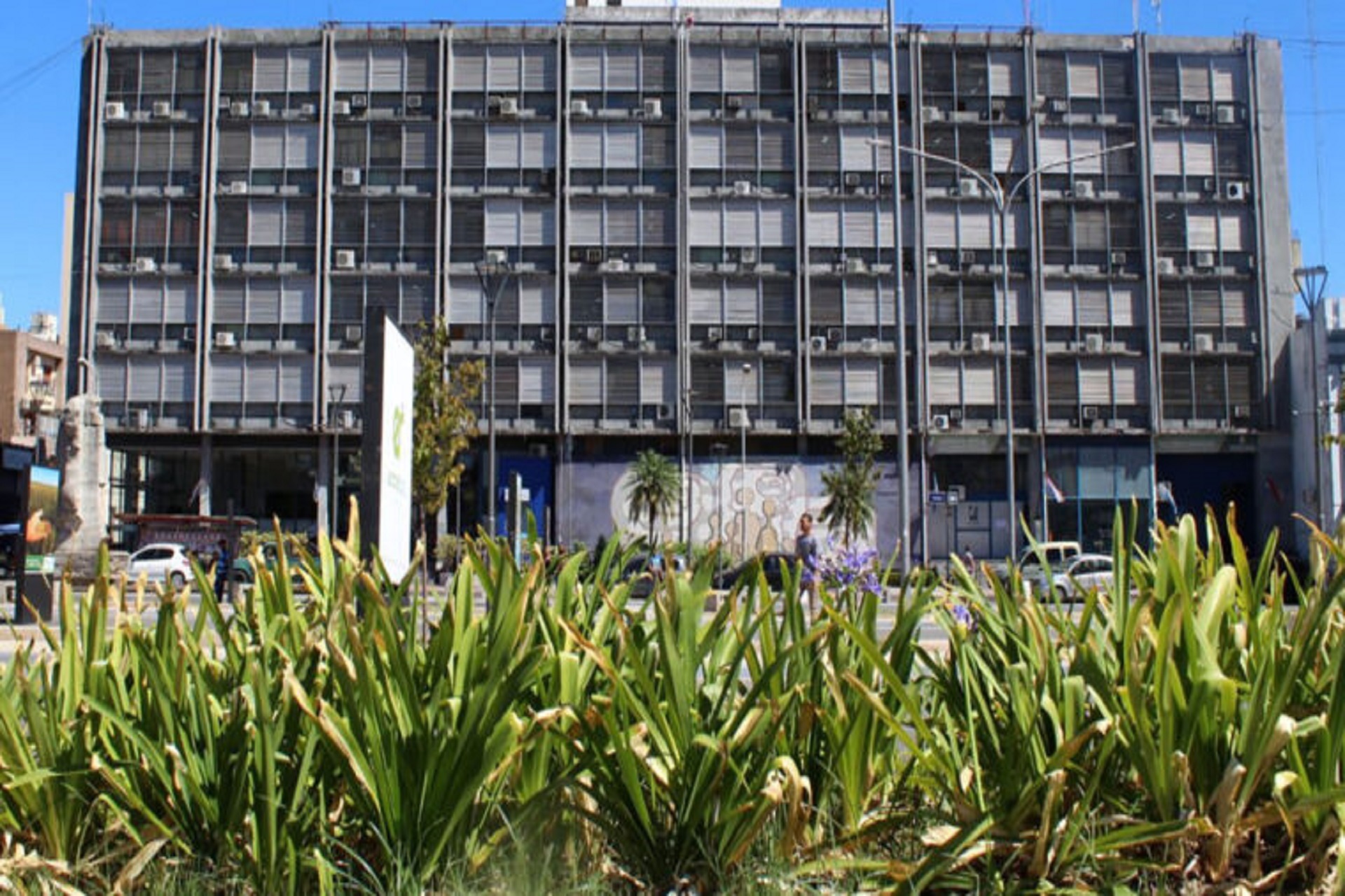 El 50 por ciento de los docentes no adhirió al paro El 50 por ciento de los docentes no adhirió al paro