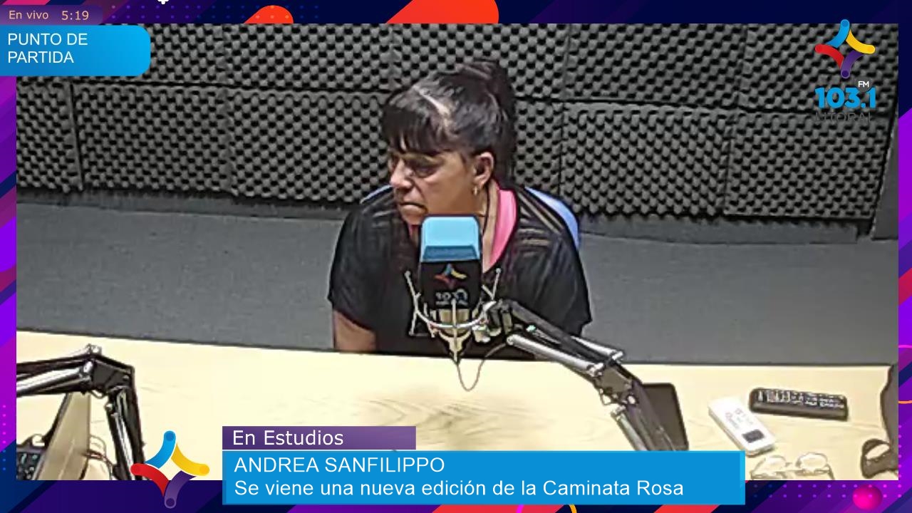 Caminata Rosa: Un acto de amor y solidaridad en Paraná