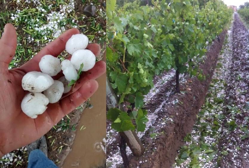 Quedó habilitada la inscripción para acceder a la emergencia agropecuaria por granizo