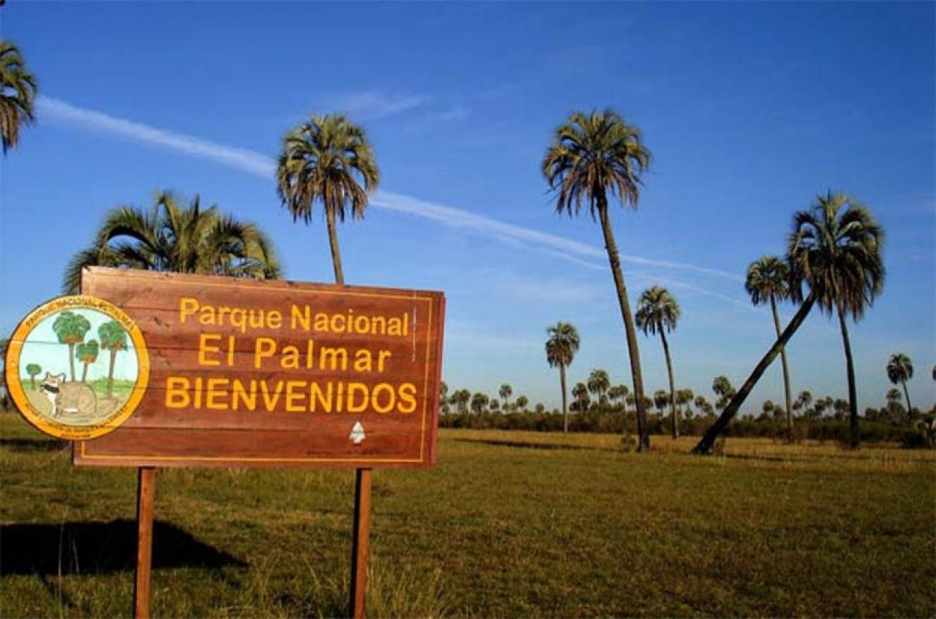 ATE San José advierte sobre despidos en fin de año en el Parque Nacional El Palmar ATE San José advierte sobre despidos en fin de año en el Parque Nacional El Palmar
