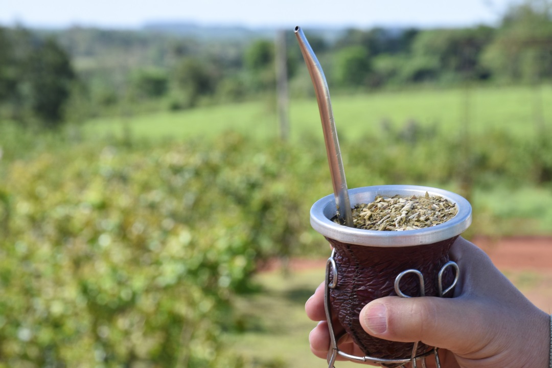 Cayó la venta de yerba en el mercado interno, pero las exportaciones van camino al récord