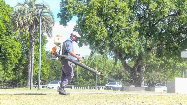 La Municipalidad realizó fumigaciones en la costanera