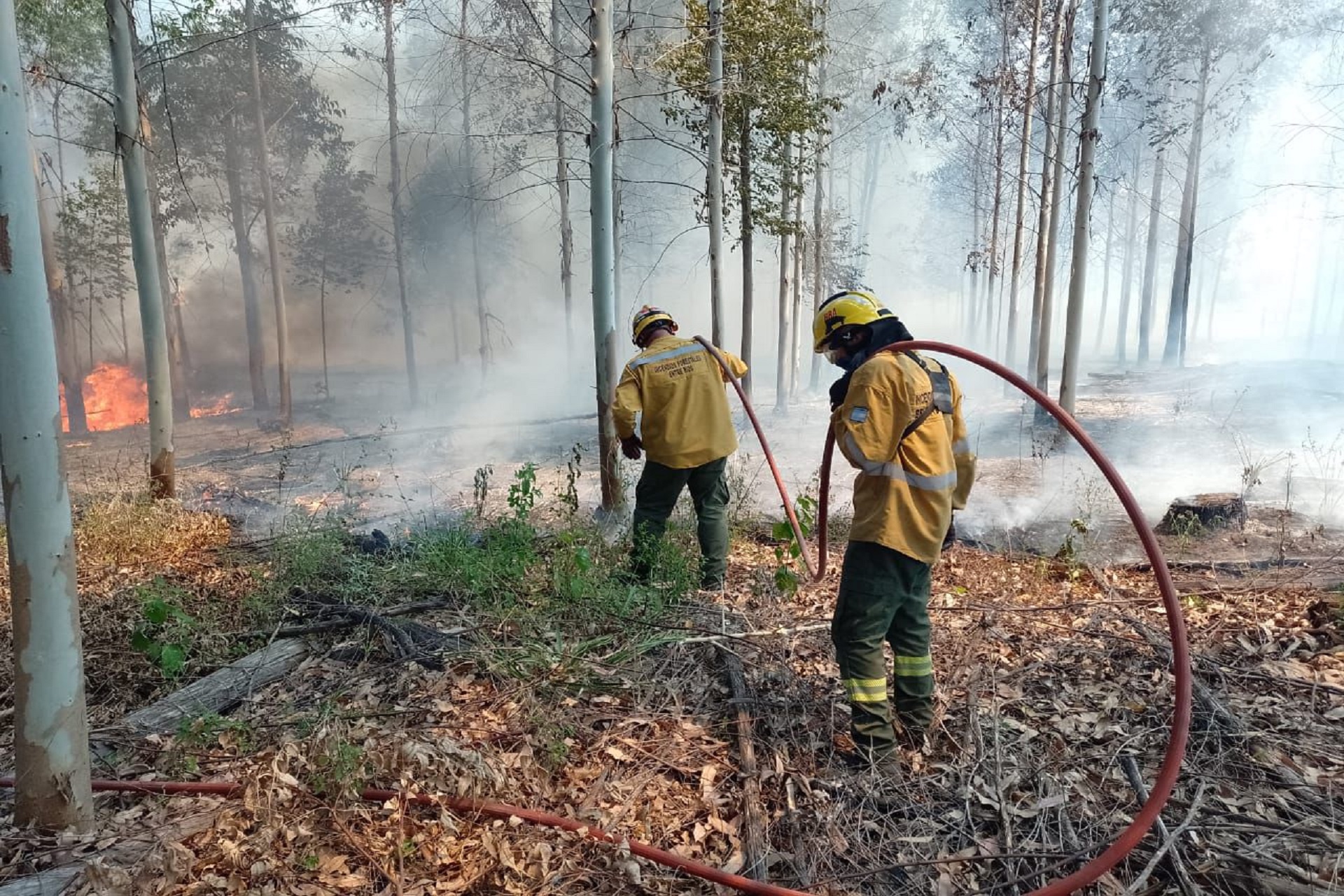 Brigadistas controlan los incendios desatados en Concordia
