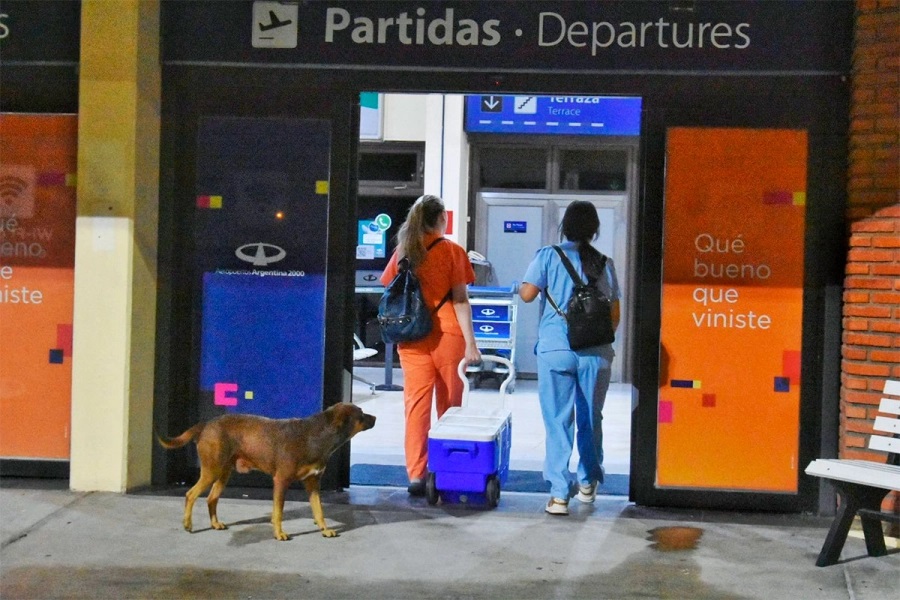 Donación de órganos en Paraná favorecerá a cuatro pacientes en lista de espera