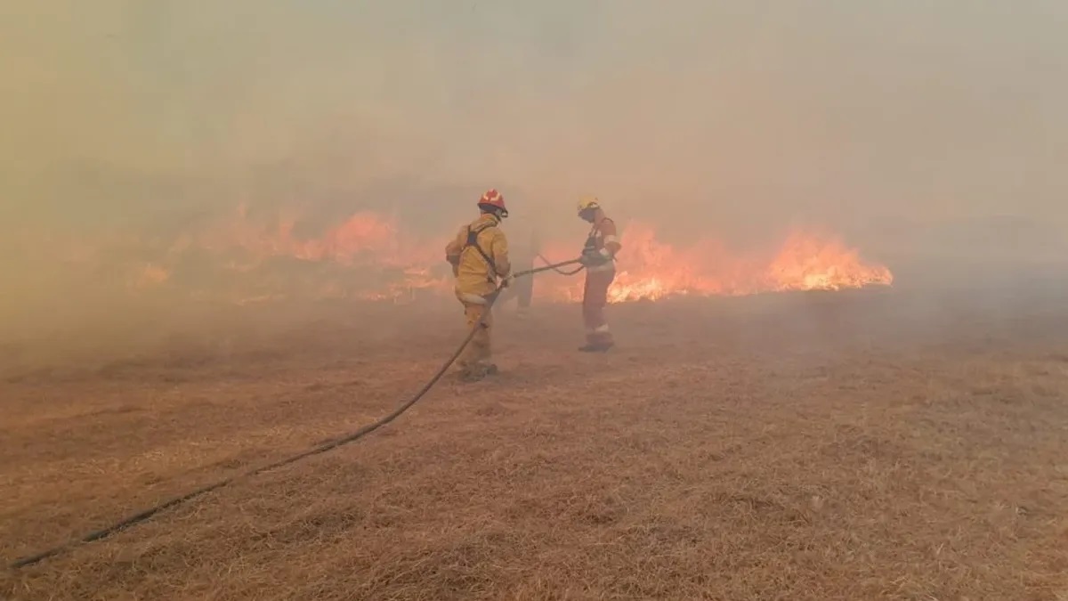 Gobierno presentará un proyecto para agravar las penas a quienes provoquen incendios intencionales