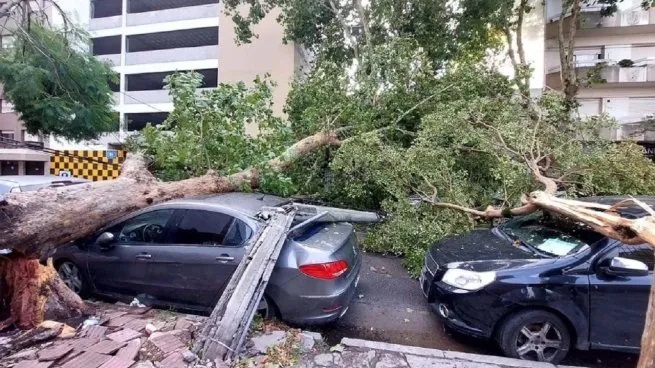 Fuerte temporal en el AMBA cortes de luz, Voladura de techos y árboles caídos por la fuerte tormenta