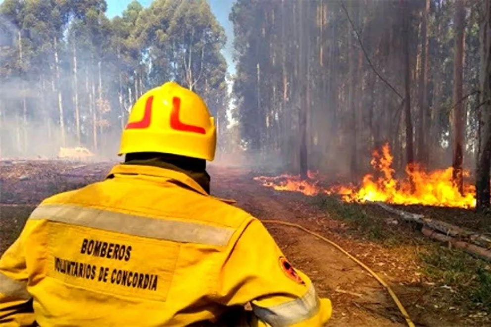 Alerta roja por riesgo extremo de incendios en la provincia