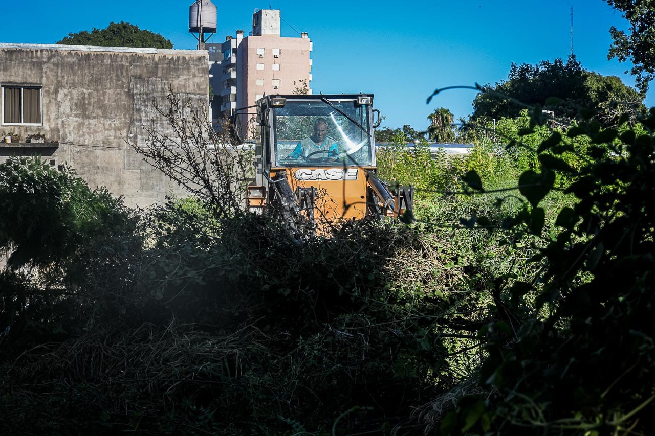 Continúan las intervenciones y limpieza en terrenos baldíos de la ciudad